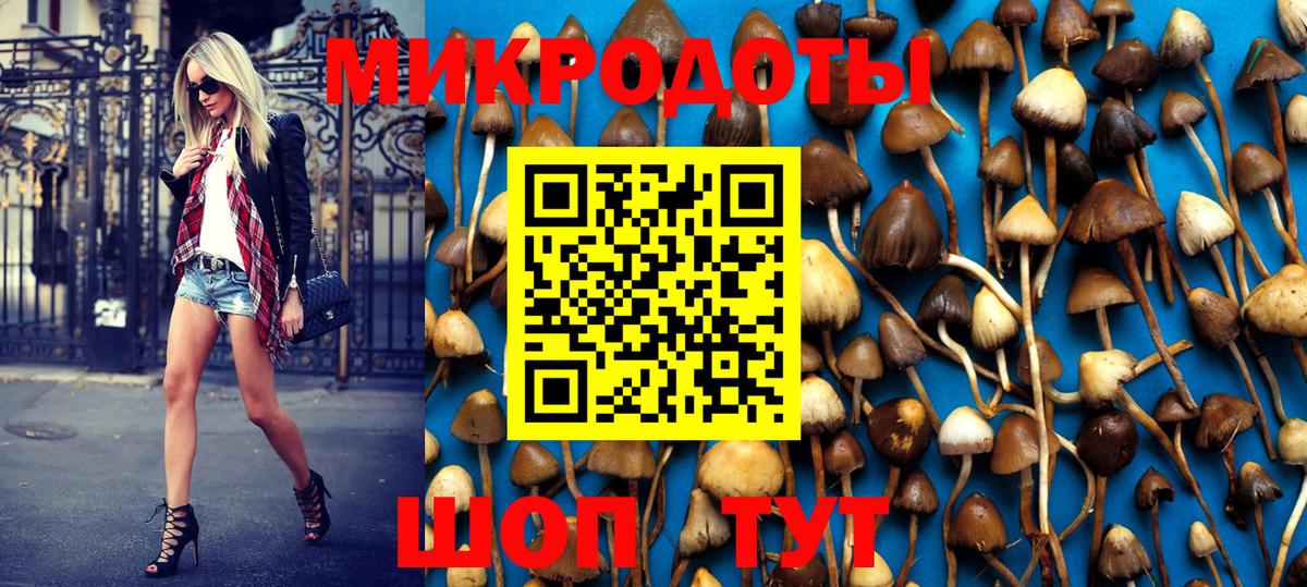 Советская Гавань  Галлюциногенные грибы Psilocybe  Вход с VPN 