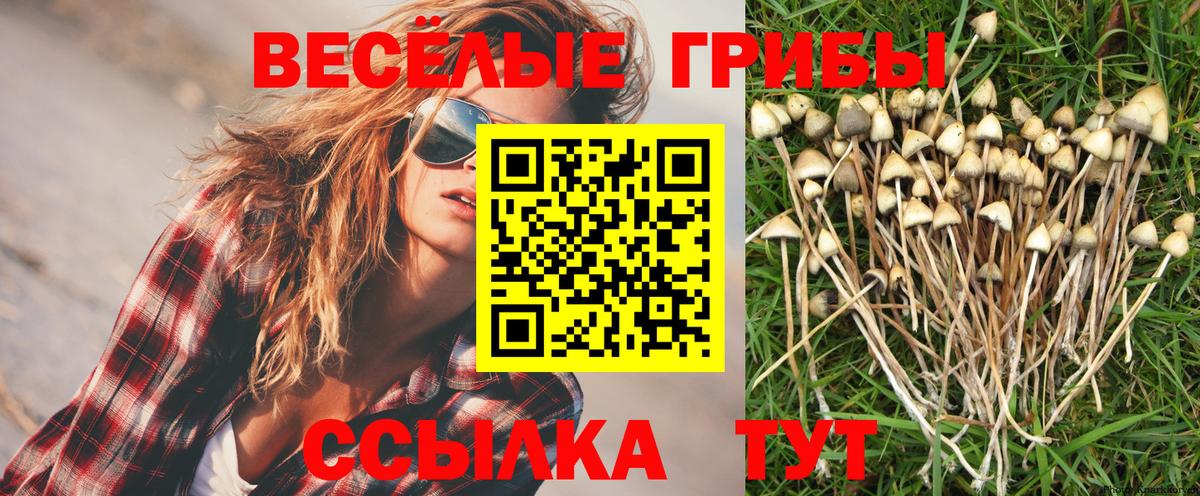 Псилоцибиновые грибы ЛСД Советская Гавань